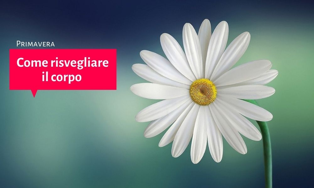 risvegliare il corpo